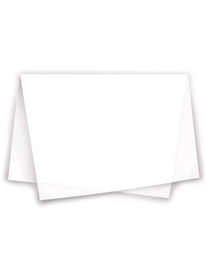 PAPEL SEDA BRANCO