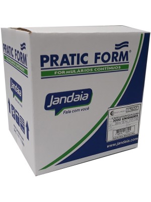 FORMULÁRIO CONTÍNUO RAZÃO PRATIC FORM AUTOCOPIATIVO 17622 - 3000JGS - JANDAIA