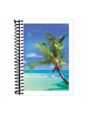 CADERNETA 1/8 ESPIRAL 96FLS CAPA FLEX.