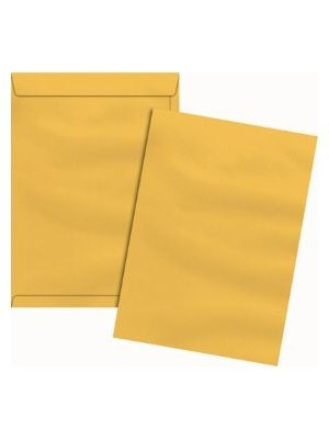 ENVELOPE SKO 17 - 250UN - SCRITY